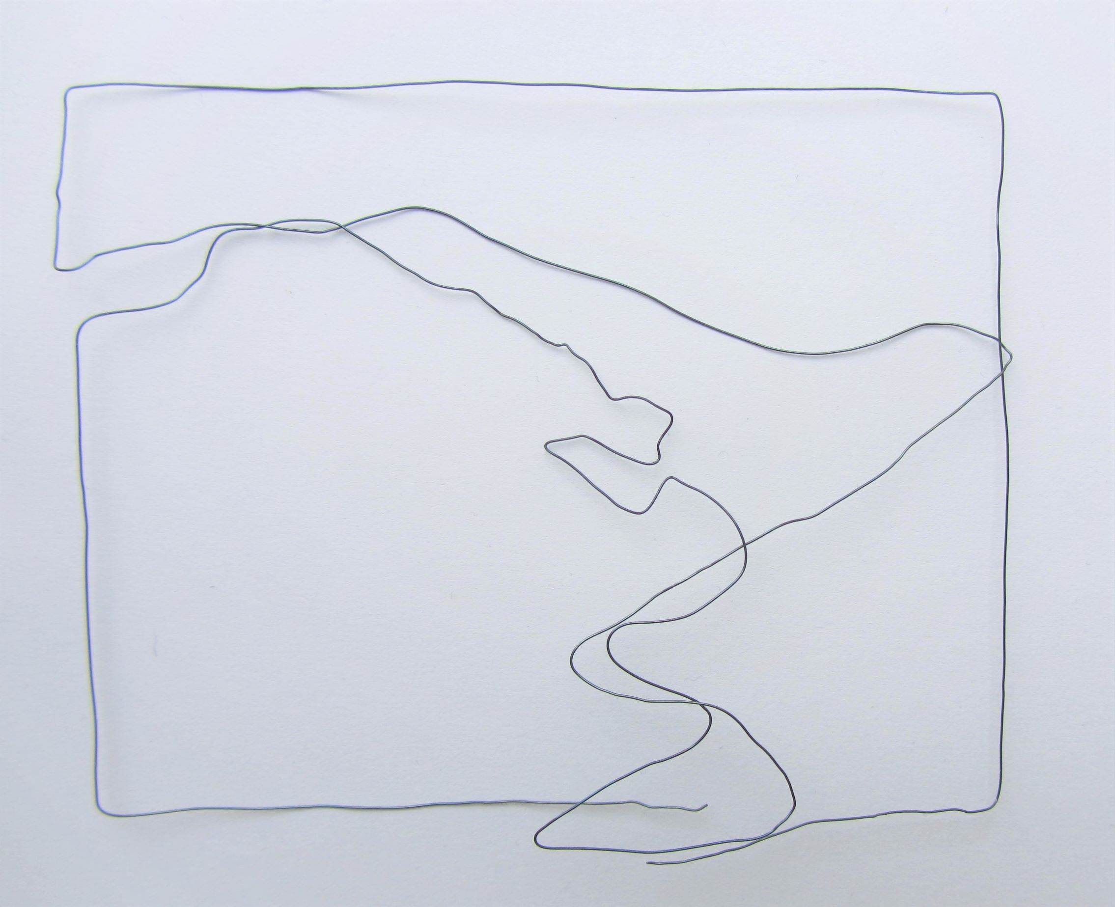 Flulandschaft, 2021, Draht