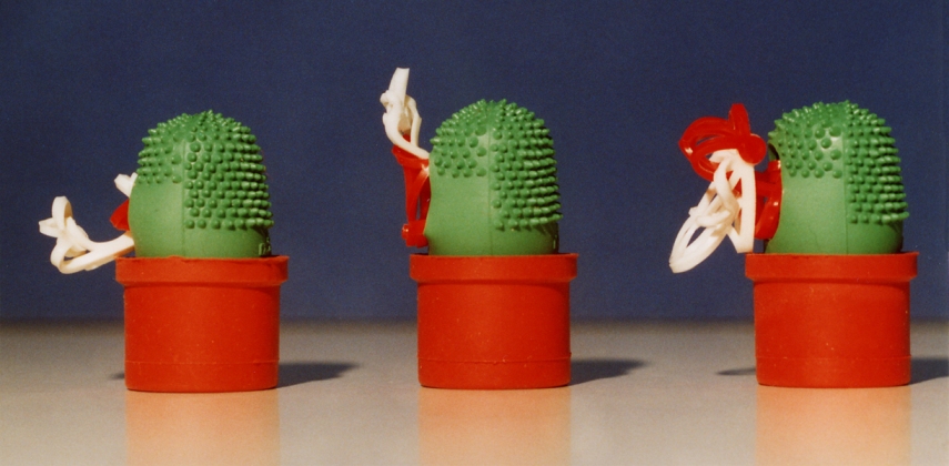 Kakteen, 2013, je ca.5x2x3cm, Knüpferli, Blattwender, Gummikappe