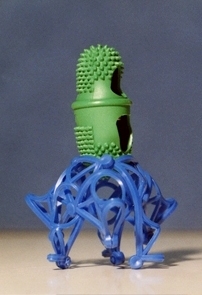 Oktupus, Foto: Michael Wendt