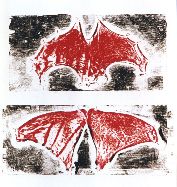 Schweineohr, 1992, Hautdruck