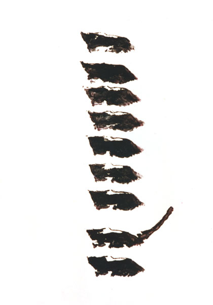 Schweineschwanz, 1992, Materialdruck