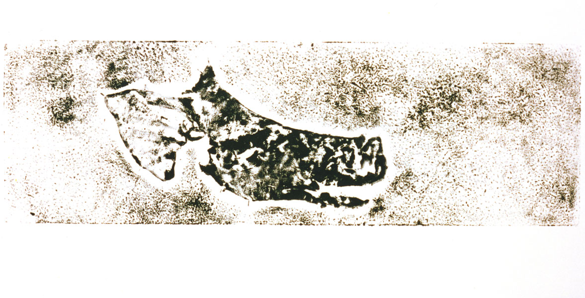 Schweinekopf, 1992, Hautdruck