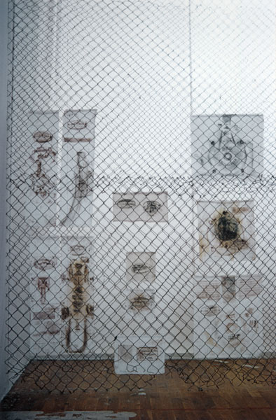 Zug–abrieb, Leinen, 1994
